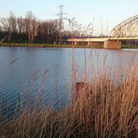 White Swan * Krakkó