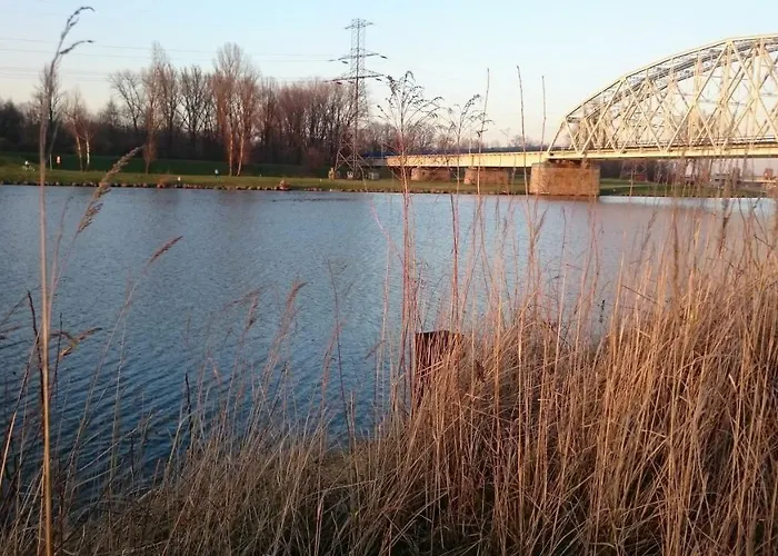 White Swan * Краков