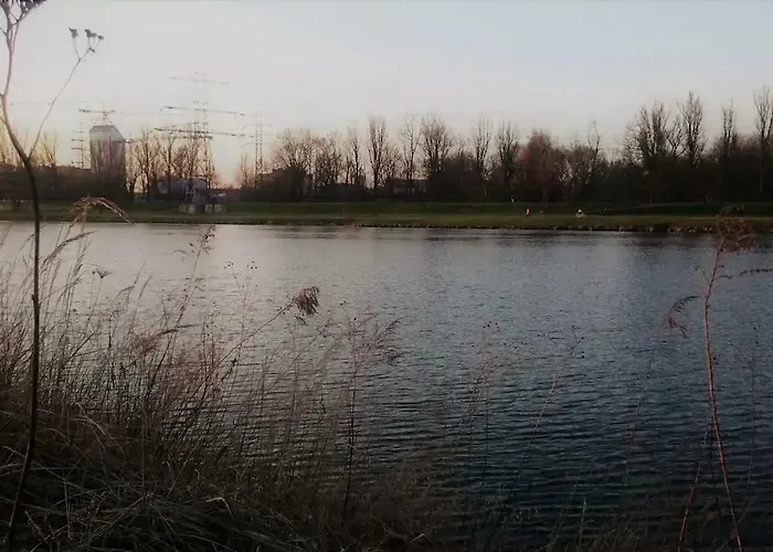 Апартаменты White Swan *